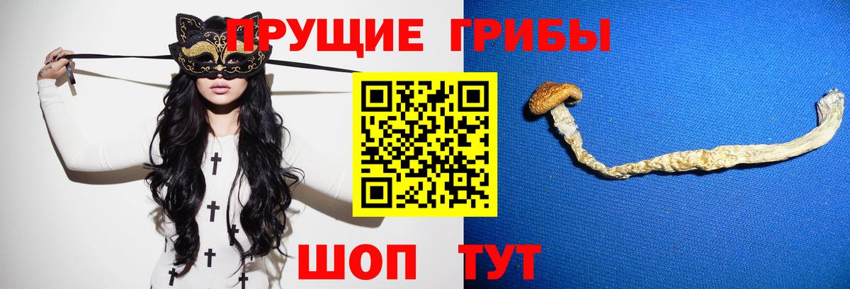 Галлюциногенные грибы GOLDEN TEACHER  что такое наркотик  Новошахтинск  Вход с VPN 